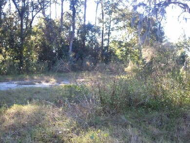 0000 Wycoff Ave, Jacksonville, FL 32205 - photo 3