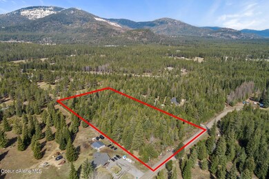 Aerial_FowlerRdLot-2_Outlined