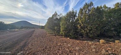 2393 E Starry Night Way unit 15, Williams, AZ 86046 - photo 2