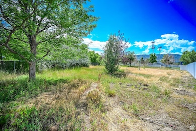 847 E Willow Springs Ln, Draper, UT 84020 - photo 5