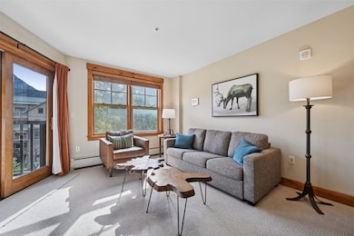 Carpeted living room featuring a baseboard radiator