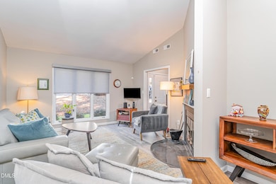 141 Berry Patch Ln, Chapel Hill, NC 27514 - photo 5