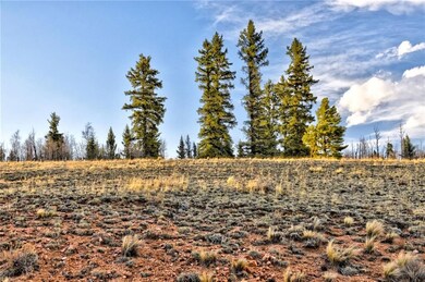 6206 Remington Rd, Como, CO 80432 - photo 3