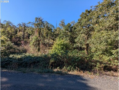 728 Cemetery Rd, Drain, OR 97435 - photo 3