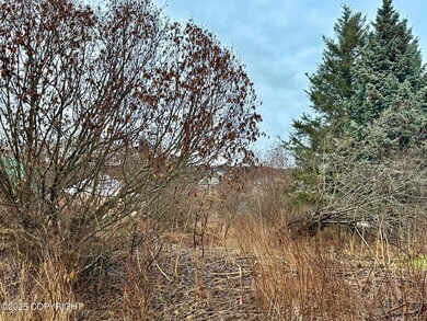 858 Linda Ct, Homer, AK 99603 - photo 6