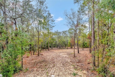 1716 E Bismark St, Hernando, FL 34442 - photo 2