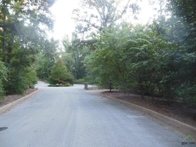 6125 Brixworth Dr, Tyler, TX 75703 - photo 3