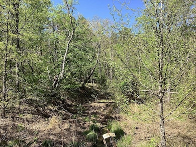 0 Chaparral Ln unit 24298349, Mena, AR 71953 - photo 7