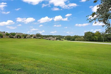 22023 Belgian Ct, Mount Dora, FL 32757 - photo 5