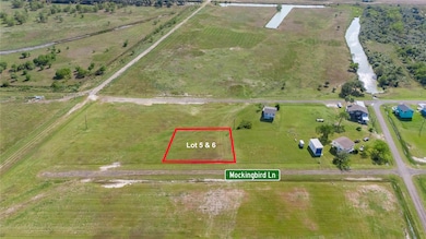 Lot 5-6 Mocking Bird Ln, Anahuac, TX 77514 - photo 5