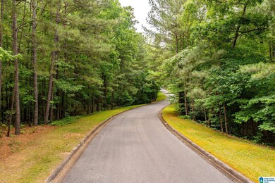 00 Highway 26, Alabaster, AL 35007 - photo 5