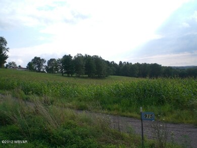 915 Lockard Rd, Pennsdale, PA 17756 - photo 4