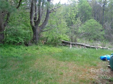 24 Hazel Hill St, Asheville, NC 28803 - photo 6