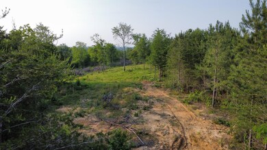 0 Mcentire Cir unit 1374076, Chatsworth, GA 30705 - photo 4