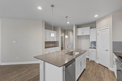 2317 Briscoe Ranch Dr, Hudson Oaks, TX 76087 - photo 5