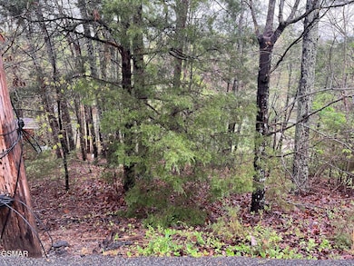 Lot 1 Mountain View Ln, Pigeon Forge, TN 37863 - photo 7