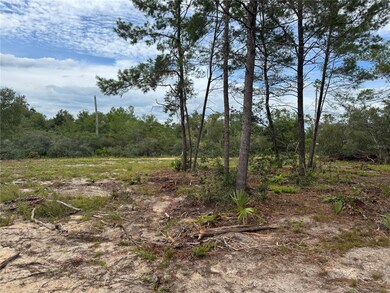 0 NE 135th St unit MFROM709418, Salt Springs, FL 32134 - photo 7