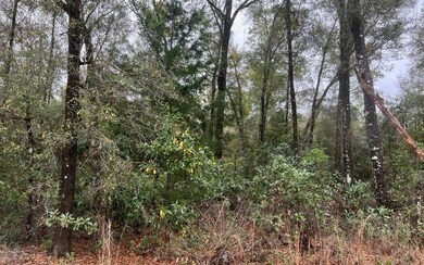 TBD 39th Dr, Branford, FL 32008 - photo 3