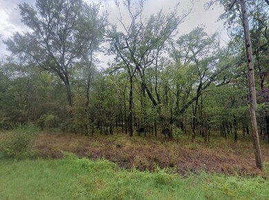 0 Biscayne Dr unit 25564661, Dayton, TX 77535 - photo 4