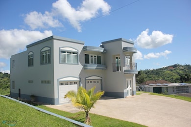 Km 1.1 Carr 802, Corozal, PR 00783 - photo 2