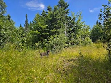 0 Ackley Pond Rd unit 5 24266409, Mount Chase, ME 04765 - photo 4