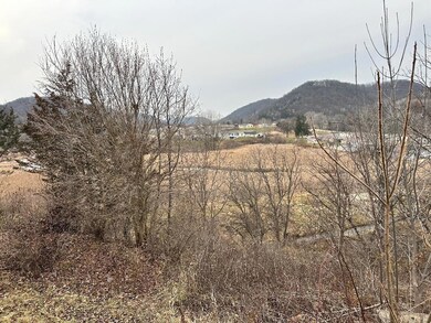 185 Hickory Ln, Lansing, IA 52151 - photo 3