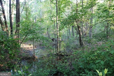 0 Kings Mill Rd unit 6 10547516, Wrens, GA 30833 - photo 6