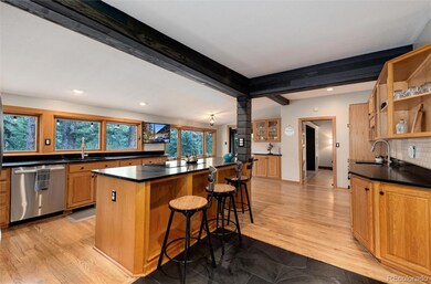 30204 Upper Bear Creek Rd, Evergreen, CO 80439 - photo 6