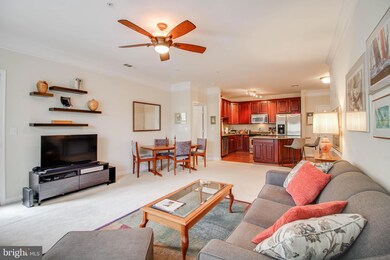 Mill Crossing unit 208, Frederick, MD 21702 - photo 4