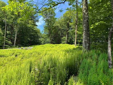 0 Spruce Grove Rd unit 5035135, Wilmington, VT 05363 - photo 5