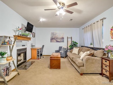 302 Eagle Ridge, O Fallon, IL 62269 - photo 6