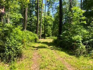 0 Fels Rd unit 668327, Quakertown, PA 18951 - photo 5