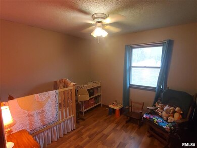 9212 N 1000th Rd, Effingham, IL 62401 - photo 3