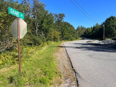 Lots 3 & 5 Grant Rd, Orono, ME 04473 - photo 5