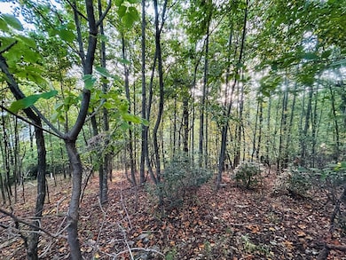 TBD Morning Side Trail, Fancy Gap, VA 24328 - photo 6