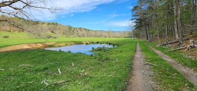 162 Tims Draft Ln, West Augusta, VA 24485 - photo 4