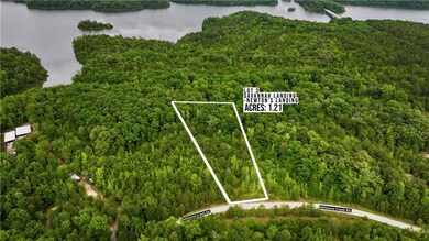 Aerial view of property's location with a heavily wooded area, a nearby body of water, and property parcel outlined