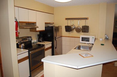 8 Ober Tal unit A15, Stratton, VT 05155 - photo 3