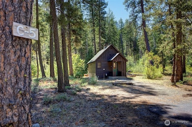 17798 State Route 20 unit C-5, Mazama, WA 98833 - photo 2