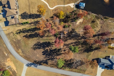 0 Natures Trail, Huntingdon, TN 38344 - photo 4