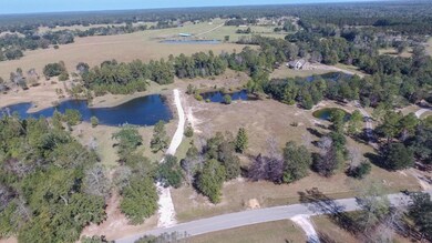 sandy creek 5