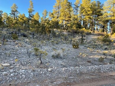 Lots 16-17 Gemini Rd unit 16-17, Timberon, NM 88350 - photo 3