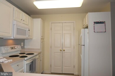2013 Rudy Serra Dr unit 2C, Sykesville, MD 21784 - photo 4