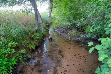 200 AC Fish Rd, New Lisbon, WI 53950 - photo 7