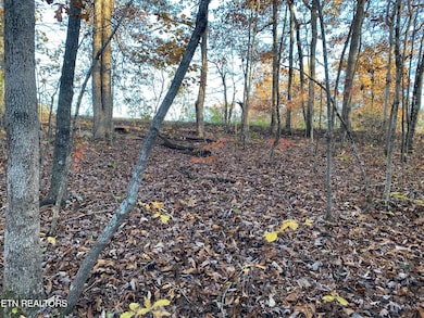 0 Cumberland View Dr unit 1321574, Crossville, TN 38571 - photo 5