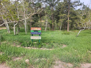 0 Buena Vista Ave unit REC5761187, Palmer Lake, CO 80133 - photo 3