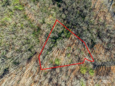 TBD Ladys Fern Trail unit 9, Laurel Park, NC 28739 - photo 3