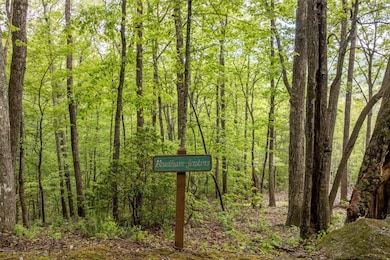 lot 13 Shepherds Gap Rd, Cullowhee, NC 28723 - photo 4