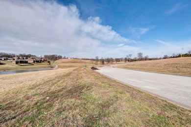 1261 Marketplace Crossing, Nixa, MO 65714 - photo 6