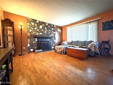 737 Dunny Ave, Sheffield Lake, OH 44054 - photo 4